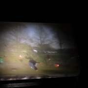 ZUR cabanobscura-31719